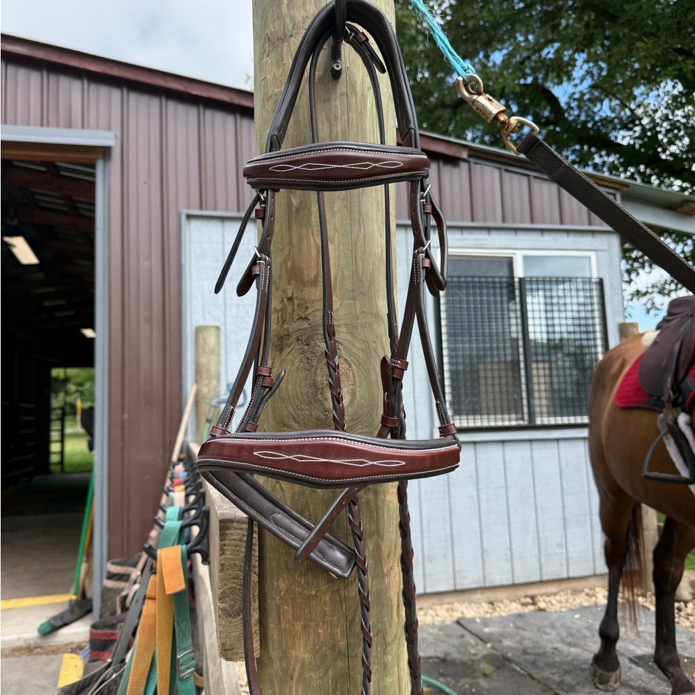 KL Select Hampton Hunter Bridle